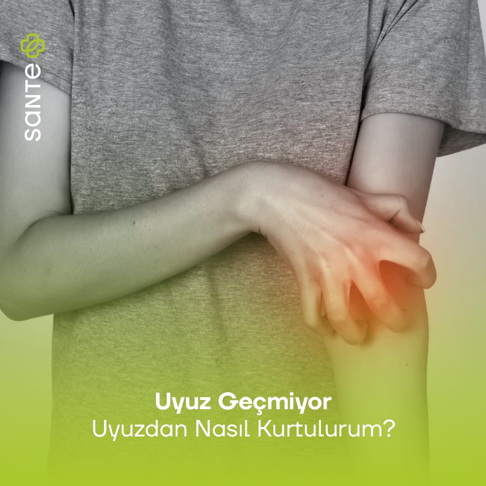Uyuz Gemilyor Uyuzdan Nasıl Kurtulurum